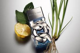 Michael Kors Pour Homme Eau De Parfum Spray By Michael Kors