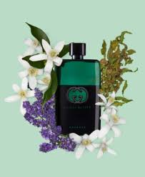 Gucci Guilty Essence Eau De Toilette Spray By Gucci