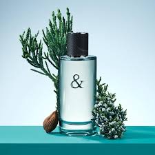 Tiffany & Love Eau De Toilette Spray By Tiffany