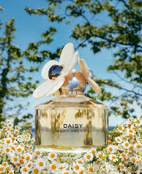 Daisy Eau De Toilette Spray By Marc Jacobs