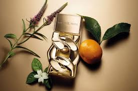 Michael Kors Pour Femme Eau De Parfum Spray By Michael Kors