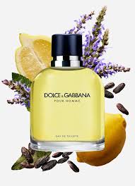 Dolce & Gabbana Eau De Toilette Spray By Dolce & Gabbana