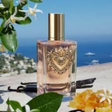 Dolce & Gabbana Devotion Eau De Parfum Spray By Dolce & Gabbana