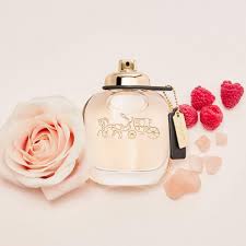 Coach Eau De Parfum Spray By Coach